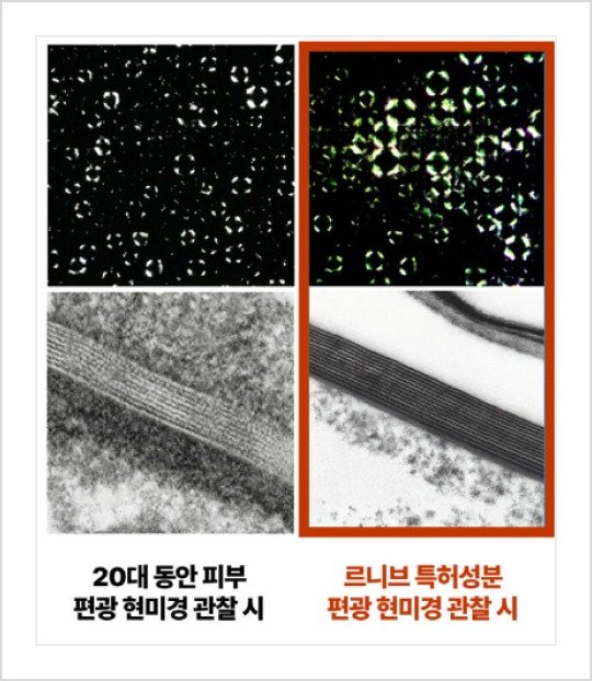 편광 현미경 관찰